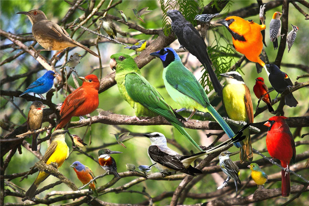 46*28cm Jigsaw Puzzles 500 Pieces Paper Picture Landscape Oil Painting Art Puzzles Decompression Toys for Adults Family Games