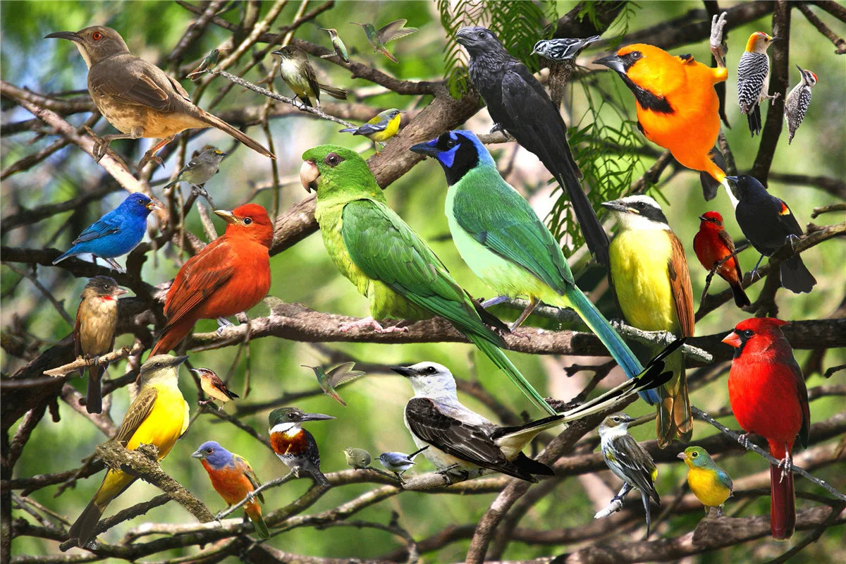 46*28cm Jigsaw Puzzles 500 Pieces Paper Picture Landscape Oil Painting Art Puzzles Decompression Toys for Adults Family Games